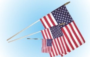 Stick Flags