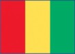 Guinea376 Flag