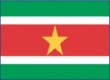 Suriname478 Flag