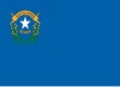 Nevada Flag
