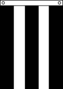 POW Banner